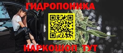 хмурый Свободный
